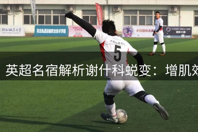 英超名宿解析谢什科蜕变：增肌效果显著 新赛季冲击射手榜
